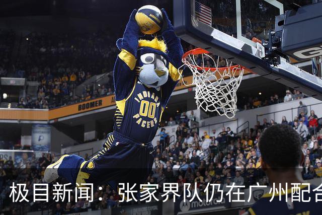 极目新闻：张家界队仍在广州配合调查，警方和多个主管部门已介入